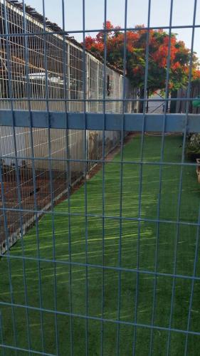 חצר מרווחת למשחקים